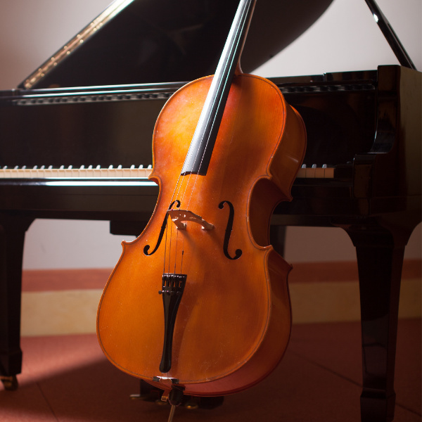 closeup of a cello